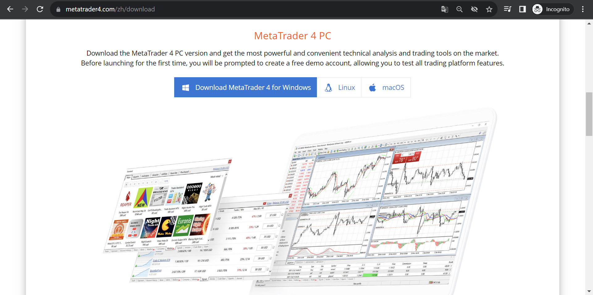 Cài đặt phần mềm MT4 trực tiếp từ Website của nhà phát hành.
