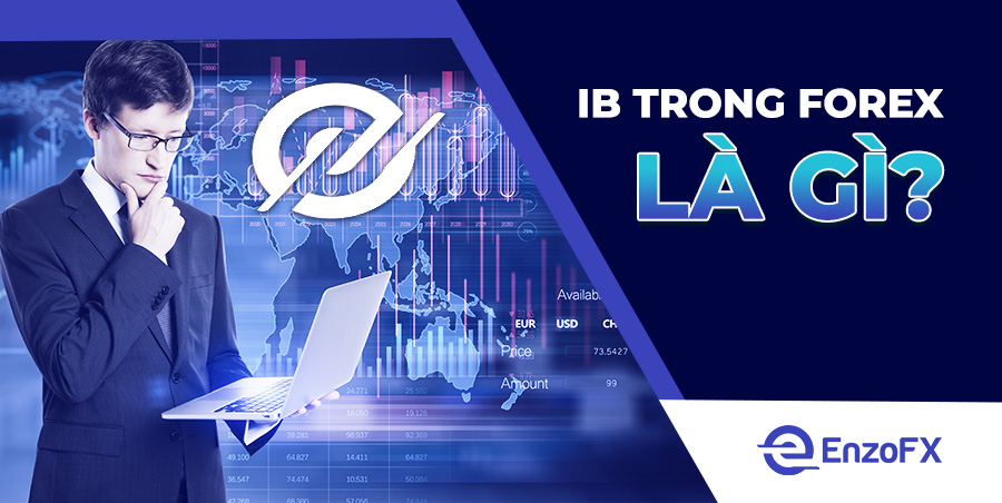 IB trong Forex là gì?