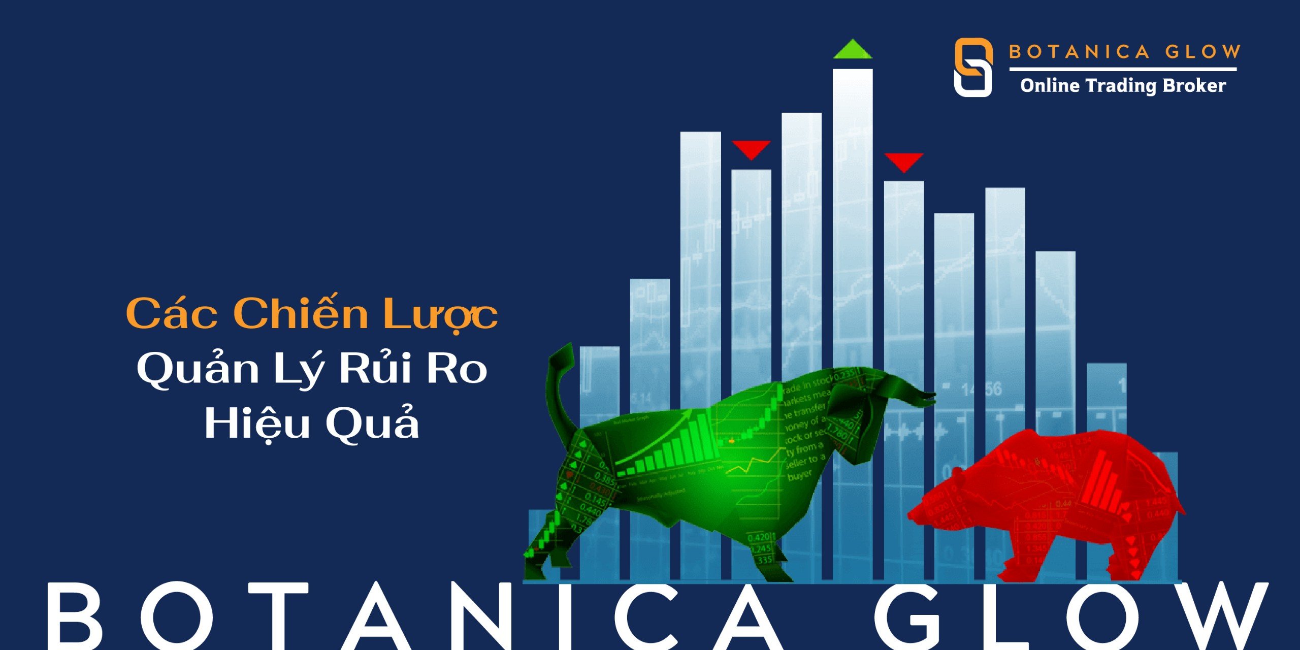 Các Chiến Lược Quản Lý Rủi Ro Hiệu Quả