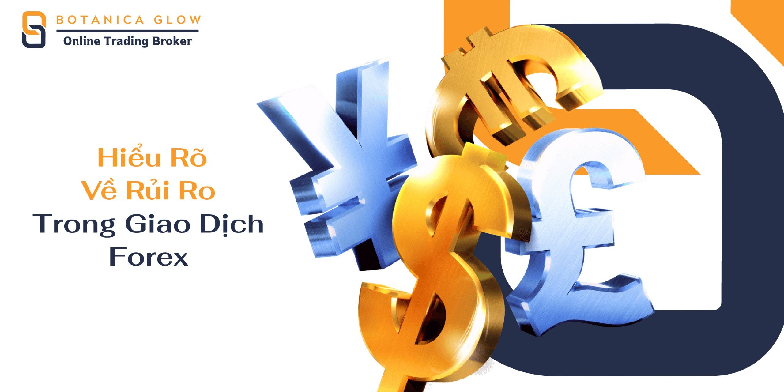 Hiểu Rõ Về Rủi Ro Trong Giao Dịch Forex